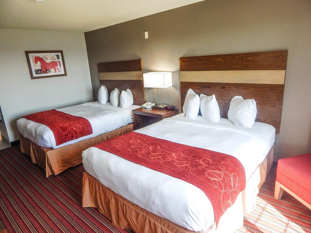 Country Inn & Suites By Radisson, Dfw Airport South, Tx 어빙 외부 사진